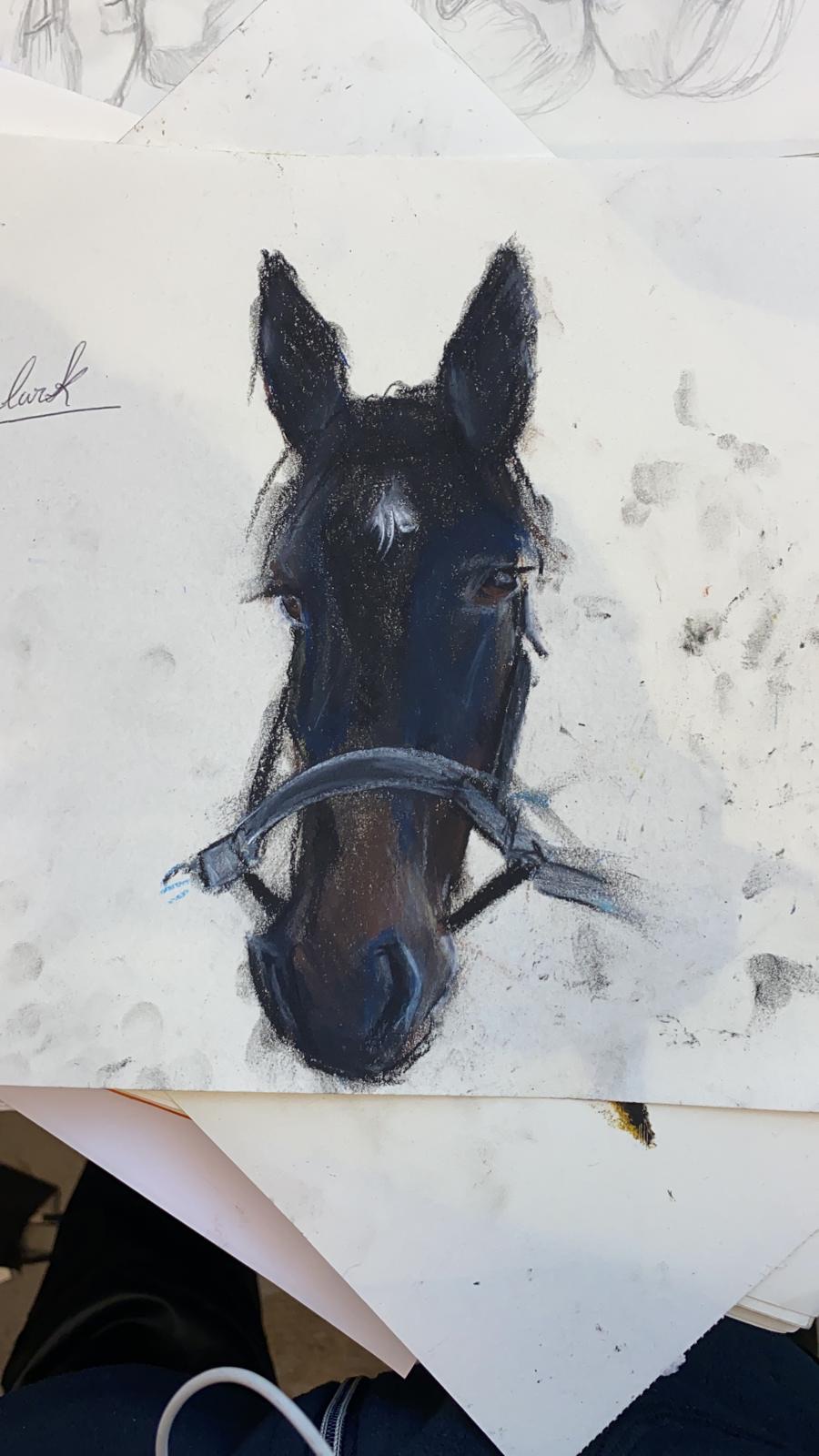 Black horse closeup pastel