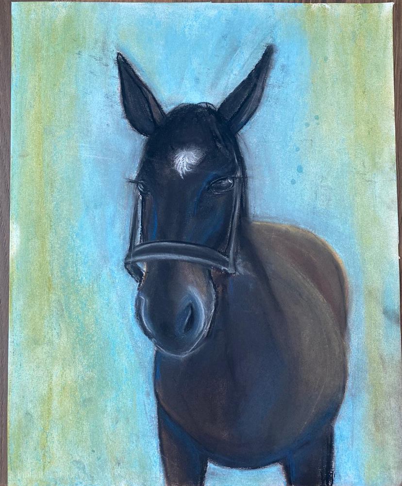 Black horse blue background